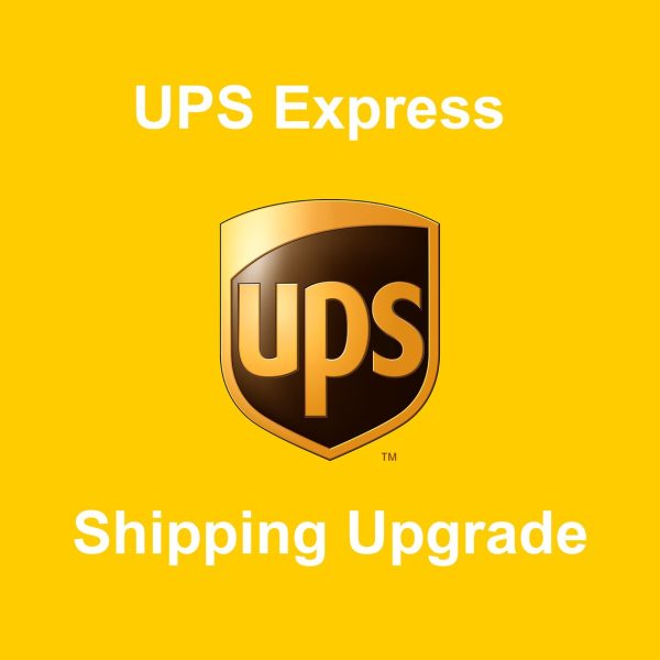 Spedizione espressa - UPS